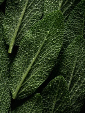NimiaN Microbiome Prebiotics Face Mist