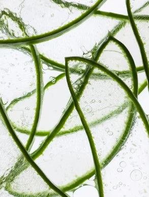 Anti-Age Hydrogel Eye Patches